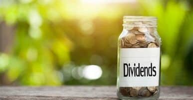 Life Insurance Dividends