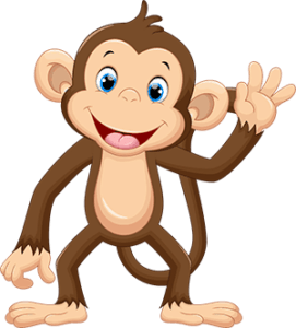 funny monkey