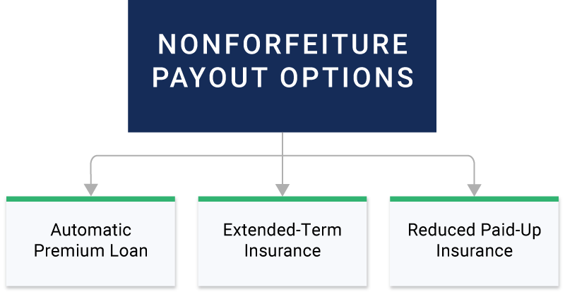 nonforfeiture options