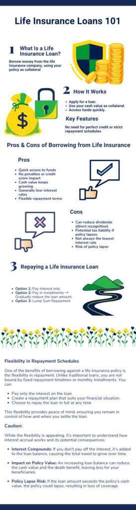 Life Insurance Loans 