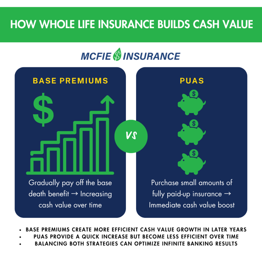 How Whole Life Insurance Builds Cash Value