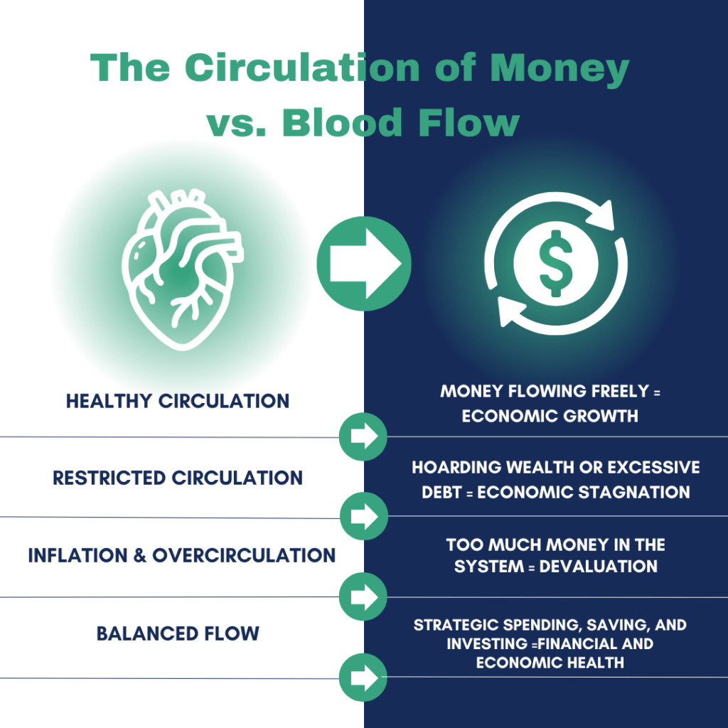 The Circulation of Money vs. Blood Flow